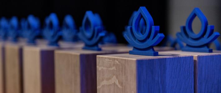 Splash awards trophy Splash awards trophy